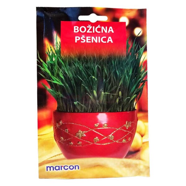 Bozicna psenica, Weihnachtsweizen Marcon 50g